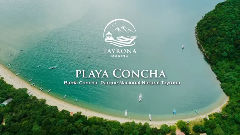 Bahía Concha