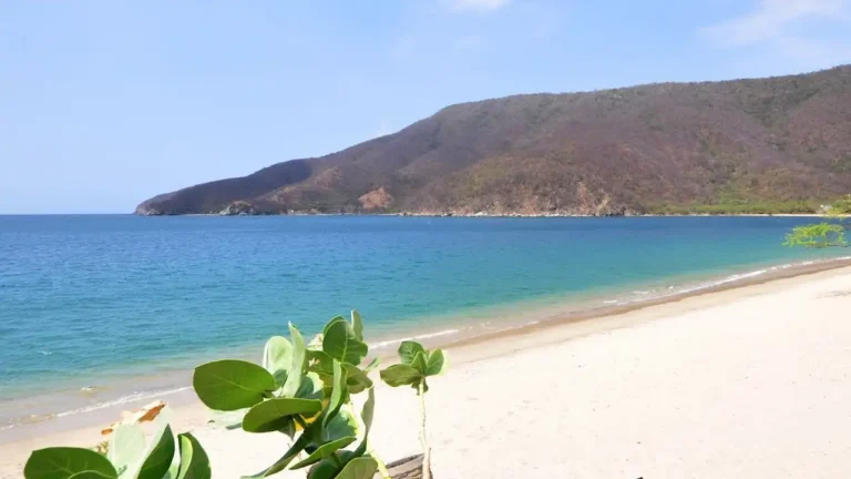Bahía Concha - ruta privada desde Santa Marta