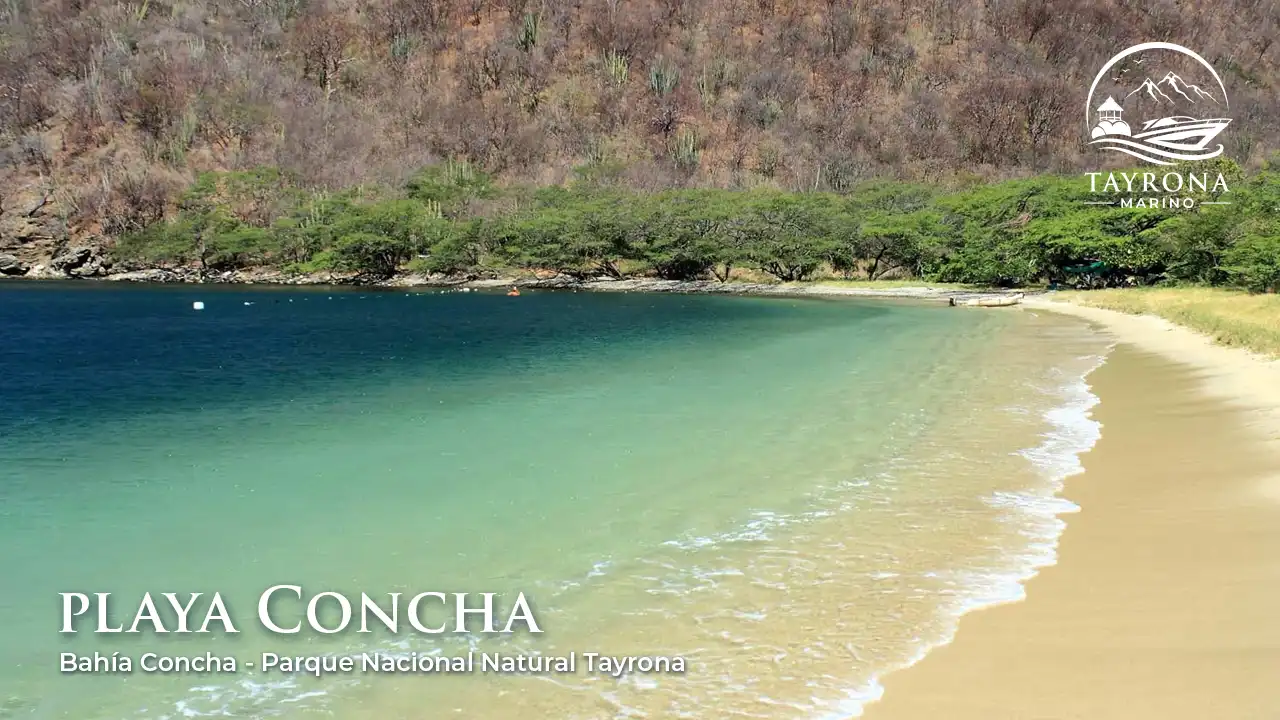 tour Bahía Concha, lancha a Bahía Concha