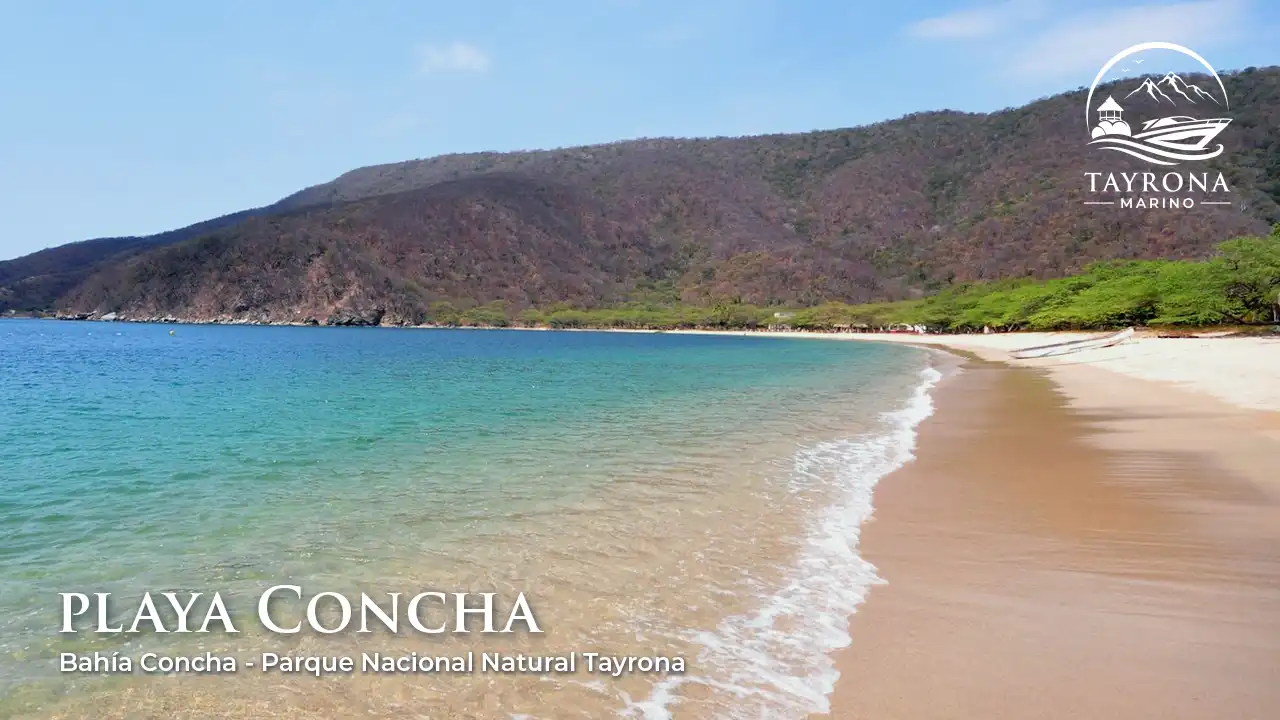 Bahía Concha Tayrona