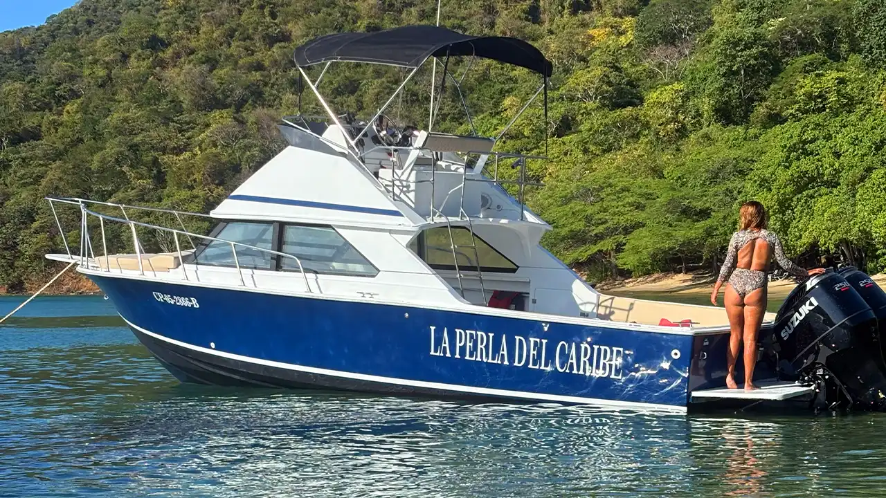 ¿El almuerzo está incluido?