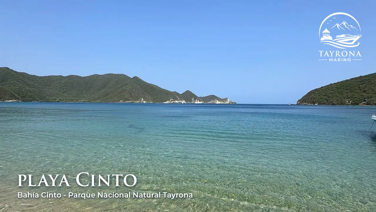 Playa Cinto Tayrona- Yates y Lanchas de lujo en Santa Marta