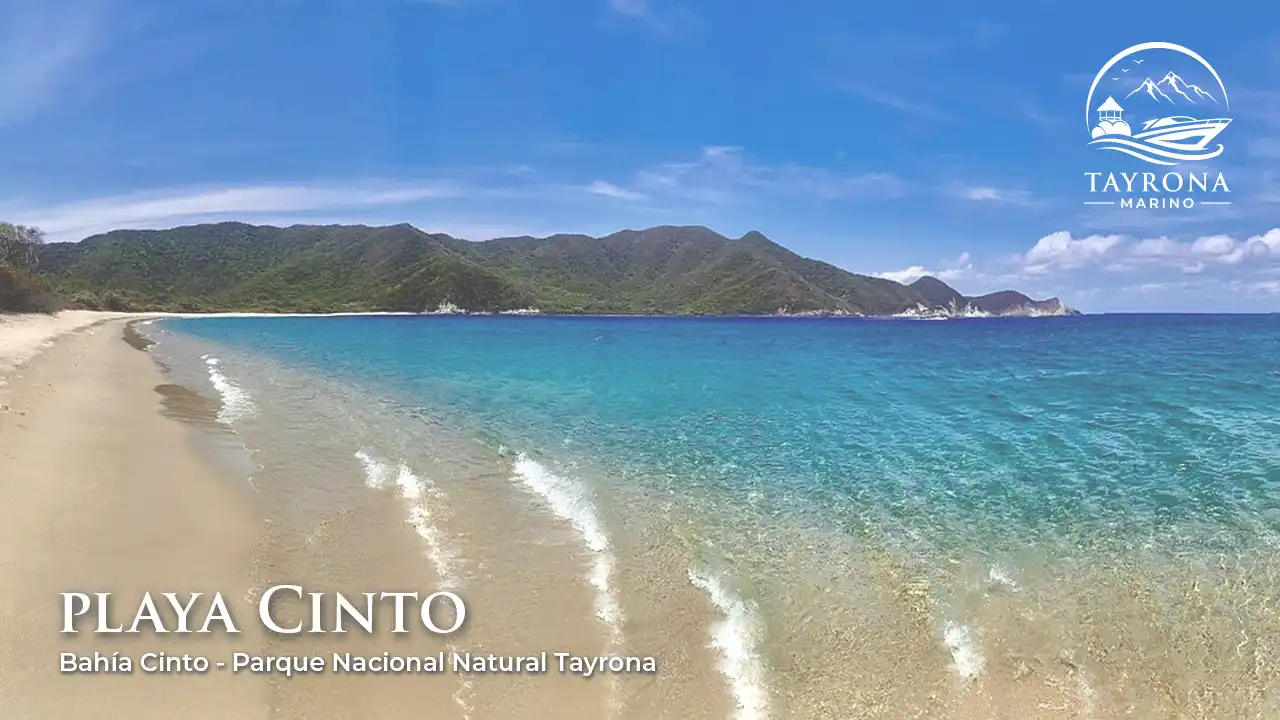 Playa Cinto Tayrona- Yates y Lanchas de lujo en Santa Marta