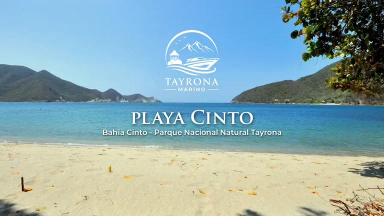 Playa Cinto