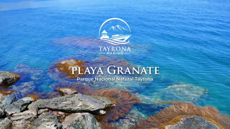 Playa Granate
