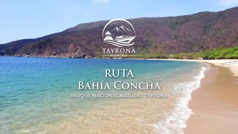 Bahia Concha