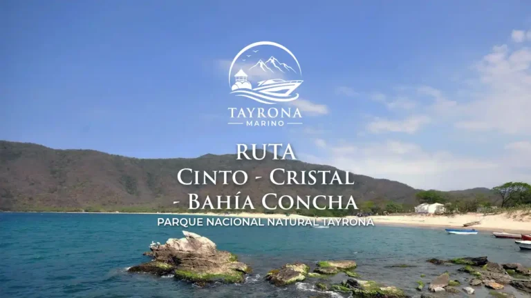 Cinto + Cristal + Bahia Concha