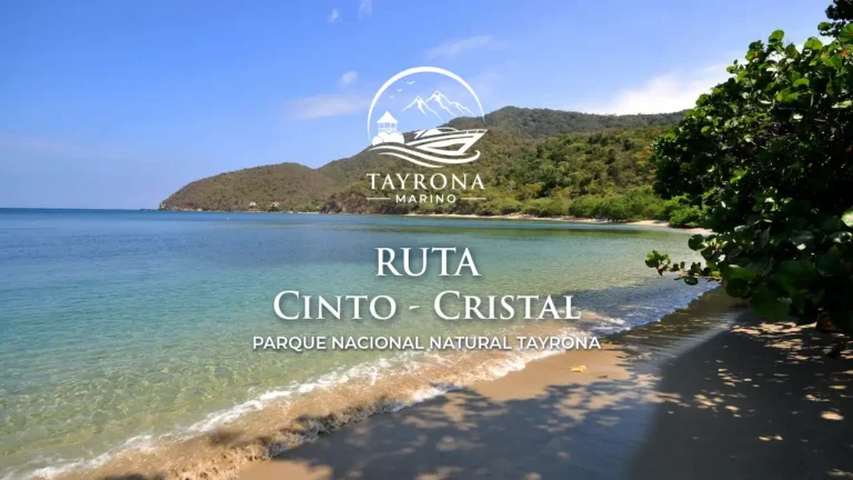 Cinto + Cristal