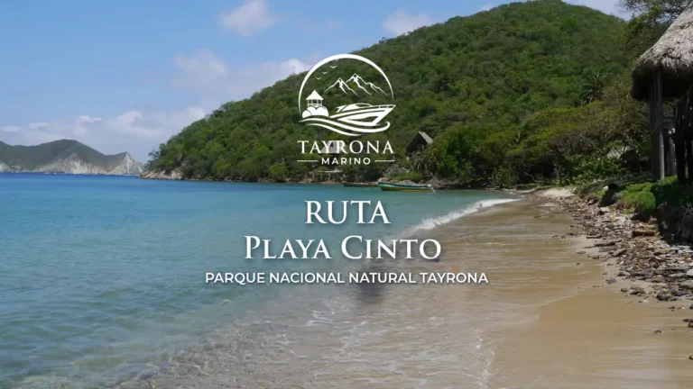 Playa Cinto
