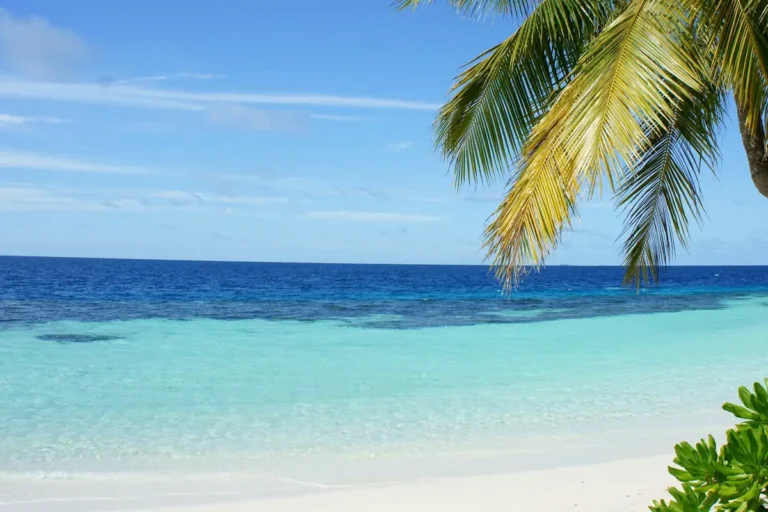 Playas Locales Sur + El Bajo - ruta privada desde Santa Marta