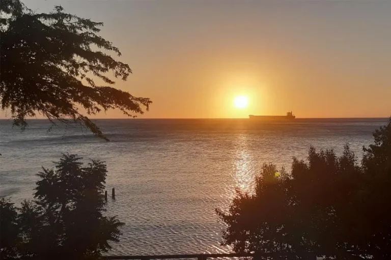 Puerto Luz